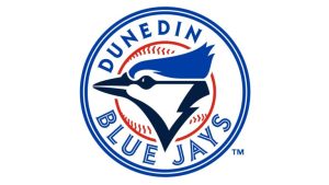 Dunedin Blue Jays 2012 Logo