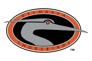 Delmarva Shorebirds 1996 Logo