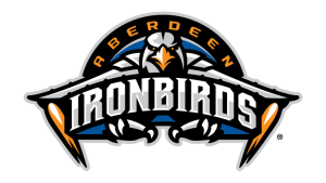 Aberdeen IronBirds 2013  Logo