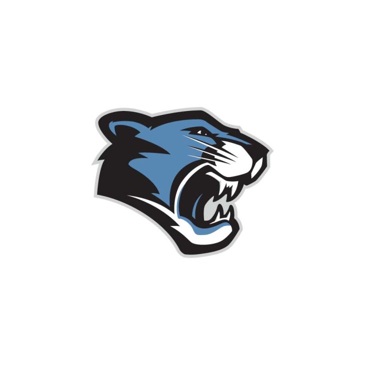 wood dale junior high Logo Vector (.Ai .PNG .SVG .EPS Free Download)