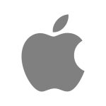 Apple Gray Icon Vector