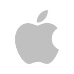 Apple Silver  Icon Vector