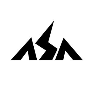 Asa de Aguia Logo Logo Vector