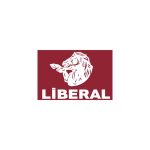 Azerbaijan Liberal Party Logo Vector