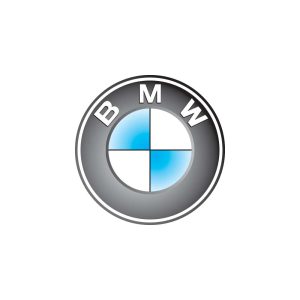 BMW Color Logo Vector