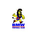 BMW Football Club Logo Vector