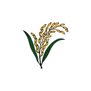Bangladesh Nationalist Party Election Logo Vector