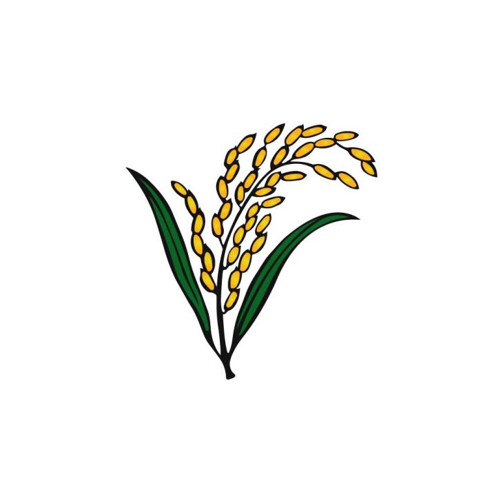 Bangladesh Nationalist Party Election Logo Vector - (.Ai .PNG .SVG .EPS ...