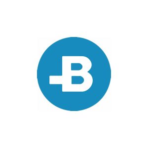 BitBay (BAY) Logo Vector