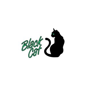Black Cat Music Logo Vector
