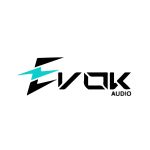 EVOK Logo  Vector