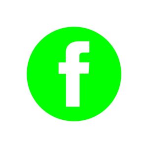 Facebook lime icon Vector