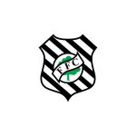 Figueirense Futebol Clube Logo Vector