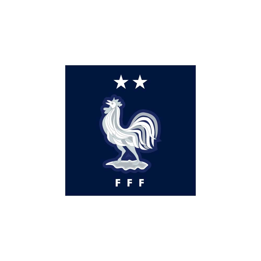 French football team, glitter logo, UEFA, Europe, green white checkered  background, HD wallpaper | Peakpx