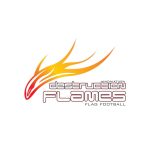 Indaiatuba Destruction Flames Logo Vector