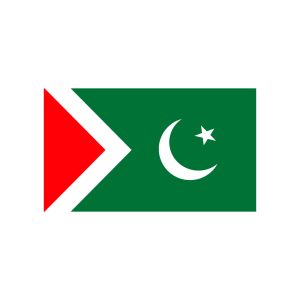Istehkam e Pakistan Party IPP Flag Vector