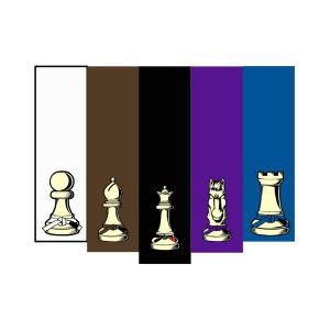 Jiu Jitsu Chess Logo Vector