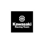 Kawasaki Racing Team Logo Vector