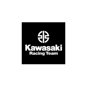 Kawasaki Racing Team Logo Vector