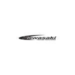 Kawasaki Team Racing Logo Vector