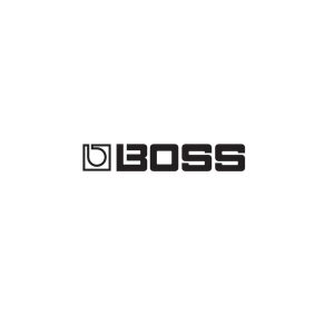 New Boss Logo Vector