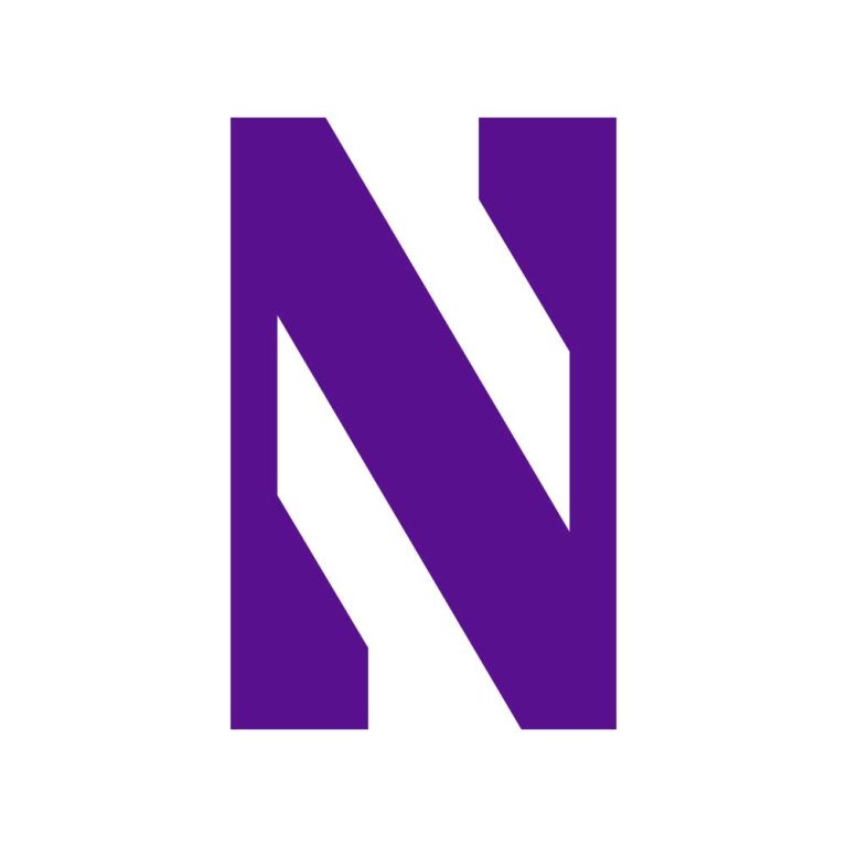 Northwestern Wildcats Logo Vector - (.Ai .PNG .SVG .EPS Free Download)