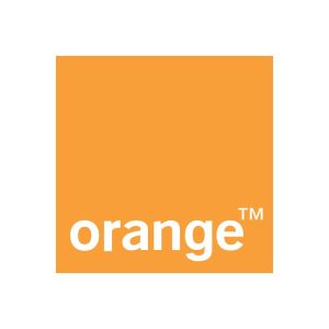 Orange Logo Vector