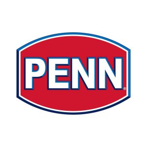 PENN International Logo  Vector