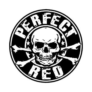 Perfect Red Logo Vector