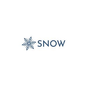 Snow Logo Vector