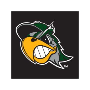 South Bend Silver Hawks Logo Vector