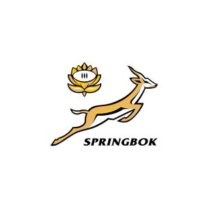 Springboks Logo Vector
