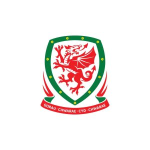 The Football Association Of Wales (2020) Logo Vector