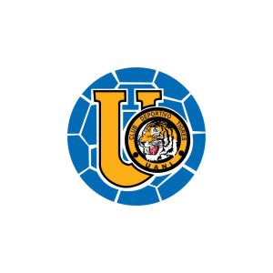 Tigres Retro Logo Vector