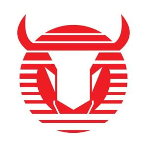 Toros Neza Logo Vector