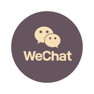 WeChat Aesthetic Icon Vector