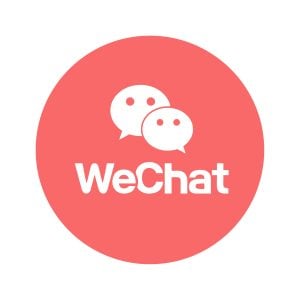 WeChat Pink Icon Vector