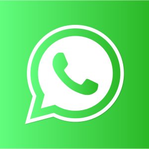 WhatsApp white icon vector