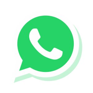 WhatsApp with shadow icon vector