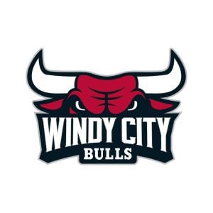 Windy City Bulls Logo Vector