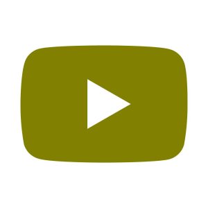 Youtube Olive icon Vector