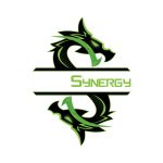 team synergy Logo Vector