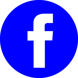 Facebook blue icon Vector