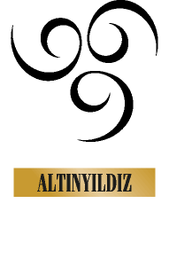5Th Element  Altinyildiz Logo Vector