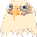 Aguia Eagle Logo Vector