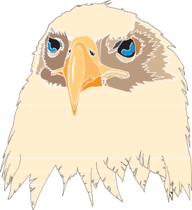 Aguia Eagle Logo Vector
