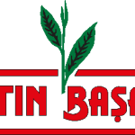 Altin Basak Logo Vector