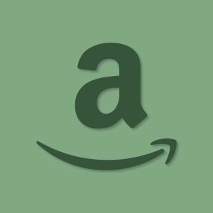 Amazon Aesthetic Icon Green Vector