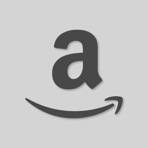 Amazon Aesthetic Icon Grey Vector