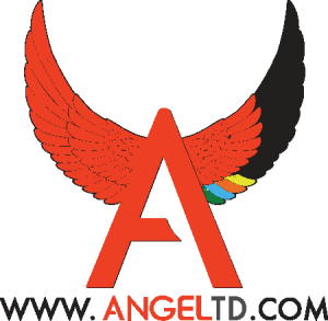 Angel Td Logo Vector